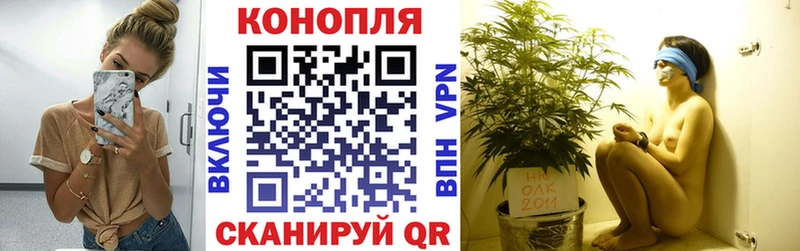 Марихуана план  купить наркотики цена  Севастополь 